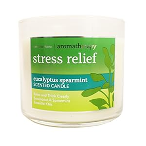 Bath and Body Works 3-wick Limited Edition Candle AROMATHERAPY COLLECTION (Stress Relief – Eucalyptus Spearmint)