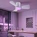 activeallbrite Ventilador de Techo, 15W LED Imagen de activeallbrite Ventilador de Techo, 15W LED