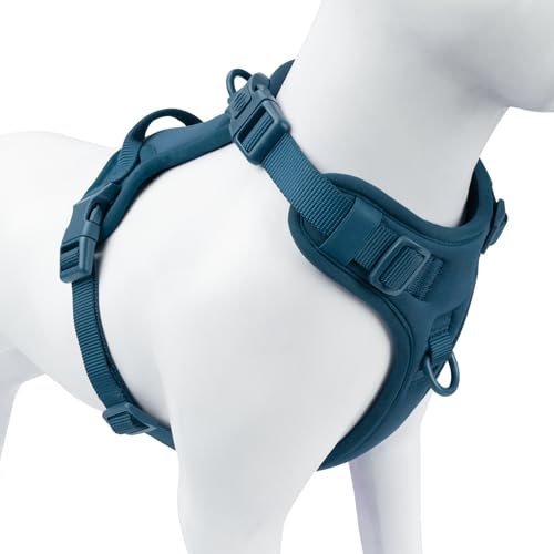 Sunraymascota No Pull Dog Harness for Small Sized Dogs, Puppy Vest No Choke