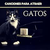 Chilling Music International