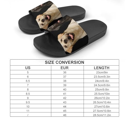 Chaussons de Maison Slide Souples avec Motif Chien Labrador Mignon