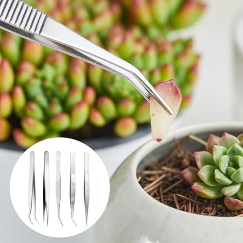 5 STK Edelstahl Pinzetten Set, Präzisionspinzette Gebogene Pinzette Spitz Pinzetten Profi, Mehrzweckpinzette für Basteln, Kochen, Reparieren, Backen, Grillen, Modell Craft Tweezers (5 Längen)