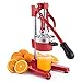 CO-Z Exprimidor Manual de Granadas y Cítricos Exprimidor de Zumo Manual de Acero Inoxidable Exprimidor a Mano Profesional para Naranja, Limón y Frutas