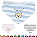 Produktbild LALALO Steiff Halstuch bestickt mit Namen, Baby Dreieckstuch/Nickytuch personalisiert, Nickituch Teddy Bär, Streifen & Klettverschluss, Junge, L000020226 (Hellblau)
