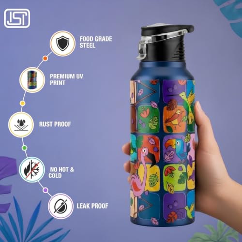 Image of VOIK Printed Stainless Steel Water Bottles for Kids, Office, Sports & Travel (750 ML) (Flamingo-Flipper)