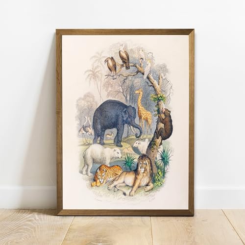 Poster Animal Print Print, Antique Animal Print, Vintage Print Poster Wall Art, animals, Print litographs, animal watercolor, Animal Poster,44