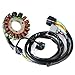 Imagen de Motocicleta Magneto estator Bobina de estator para 31120-HP1-601 TRX450ER TRX450R TRX 450 ER R 2006 2007 2008 2009 2010 2012 2013 2014 TRX-450ER TRX-450R