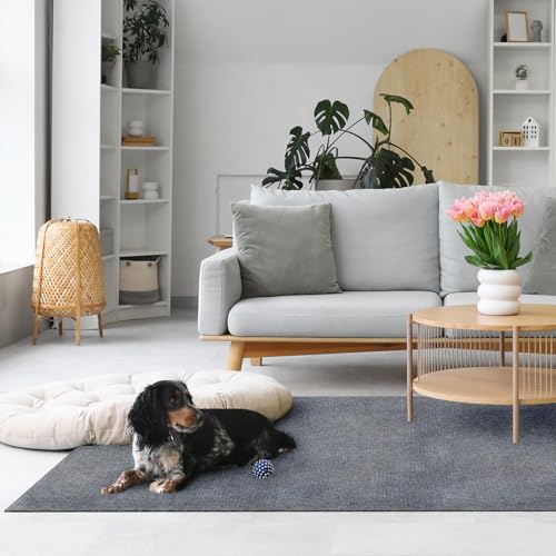 Vieshful Selbstklebende Teppichfliesen 50x50 cm, Zuschneidbare Teppichbodenfliesen, Weiche Nadelfilz Fliesen für Wohnbereich, Büro, Küche – 10 Fliesen pro Box / 2,5 m² Hellgrau