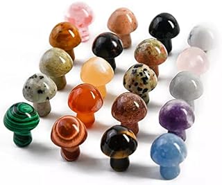 20 Pcs Mini Crystal Mushrooms Gemstone Decor Carving Mushrooms Polished Crystal Cute Mushroom Stones for Home Garden Lawn Yard Decoration Meditation