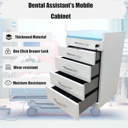 BREVELTION 4 Drawer Mobile Dental Storage Cabinet, Dental Assistant's Utility Cart Stainless Steel Office Mobile Medical Trolley Cart with Lock and Wheels for Office Hospital