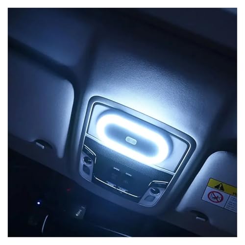 Luces interiores del coche de techo azul para viajes familiares y lectura nocturna