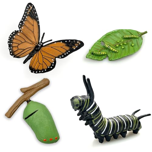 Lukinuo Schmetterling Lebenszyklus Spielzeug Figuren 4pcs Realistische Raupe zu Monarch Schmetterling Lebensstil Wachstumsstufen Insekt Figuren Playset Lehrwerkzeuge für Kinder Party Gefälligkeiten