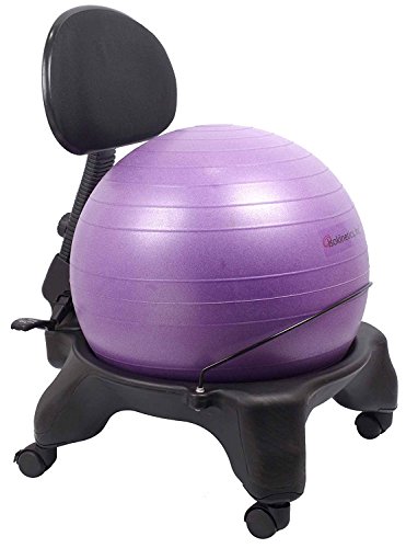 Isokinetics Inc. Adjustable Back Exercise Ball Office Chair - Standard Frame Height - with Purple 52cm Ball - Office Size 60mm/2.5