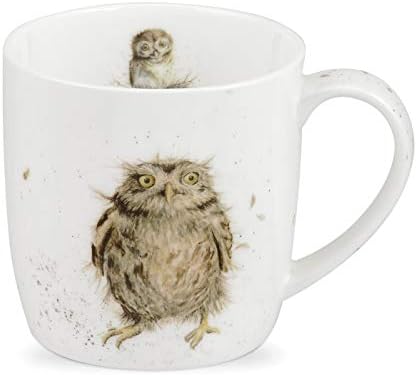 Portmeirion Home & Gifts MMKD5629-XS Wrendale What a Hoot Mug, Ceramic, Multi-Colour, 8.5 x 12 x 8 cm
