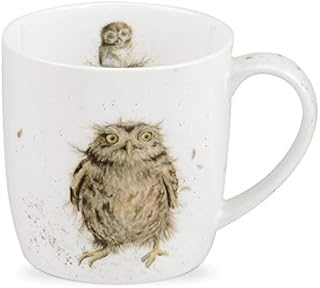 Portmeirion Home & Gifts MMKD5629-XS Wrendale What a Hoot Mug, Ceramic, Multi-Colour, 8.5 x 12 x 8 cm