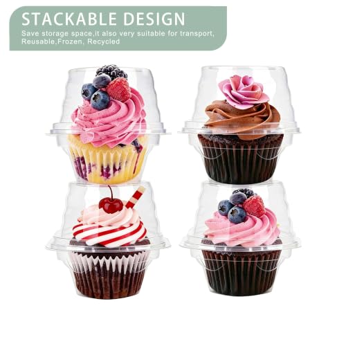 Image of 600 Pcs Cupcake Boxes Individual Cupcake Containers with Lid
