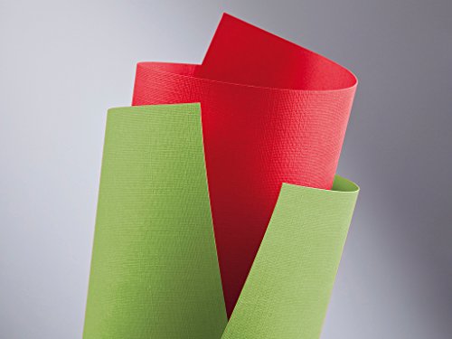 FALAMBI 20 premiumkarton holland vert papier 220 g/m ², impression, finement geprägter durchgefärbter carton Cover