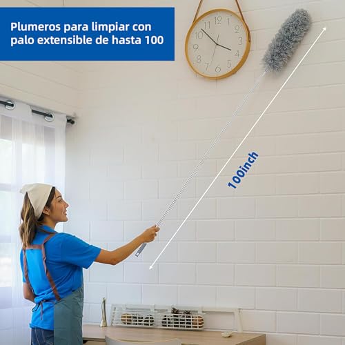 La Mejor Selección de Plumeros para comprar online. 8 Imagen adicional