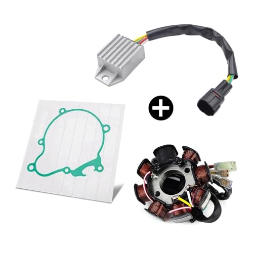Kit de estator y junta rectificadora para solucionar fallos eléctricos en TE250 2