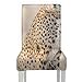 Housse de chaise pour salle à manger Cheetah Cheetah Farm Afrique Namibie Housses de siège de chaise de salle à manger imprimées Housses de siège imprimées lavables et amovibles en polyester pour cha