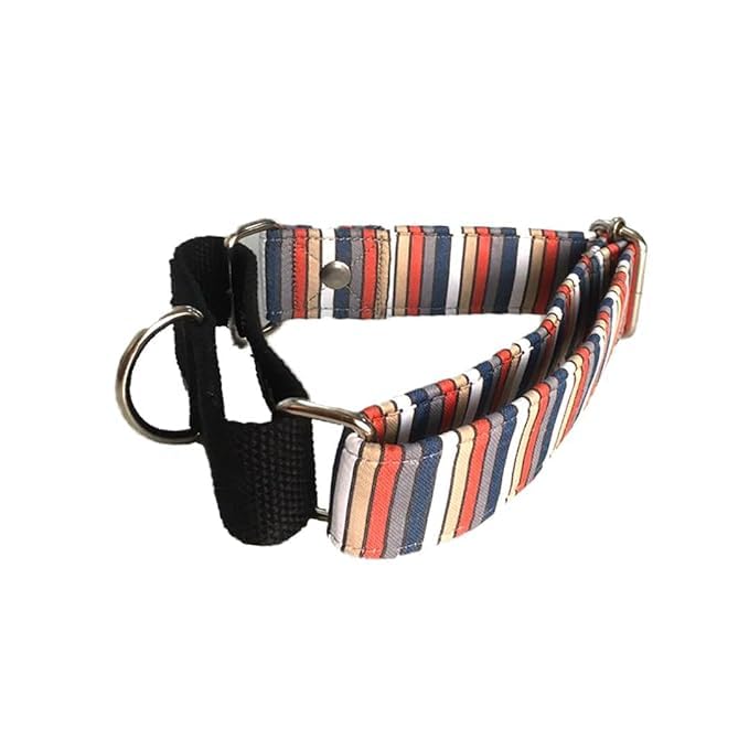 Image of Dog-O-Bow Black Multi-Stripe Martingale Dog Collar, Durable, Comfortable & Adjustable Training Collar (Extra Large)