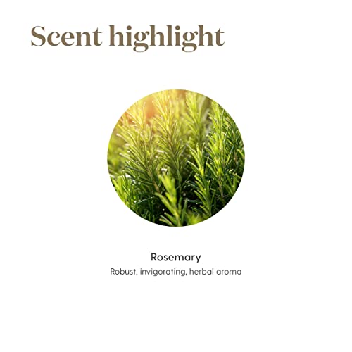 Rosemary Essential Oil 15Ml By Young Living Essential Oils #TOP4