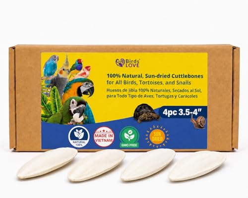 Birds LOVE 3.5-4 Cuttlebone for Birds 100% Natural Sun-Dried Calcium & Beak Conditioning Supplement for Parakeets Budgies Cockatiels Finches & Canaries 4 Pack with Holder Made in Vietnam