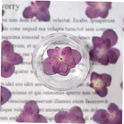 30 piezas flores secas prensadas decorativas para manualidades miniatura 2