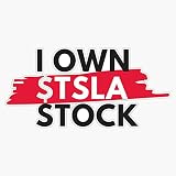 I Own Tesla Stock Sticker Vinyl Decal Waterproof Bumper Sticker Laptop Window 5"