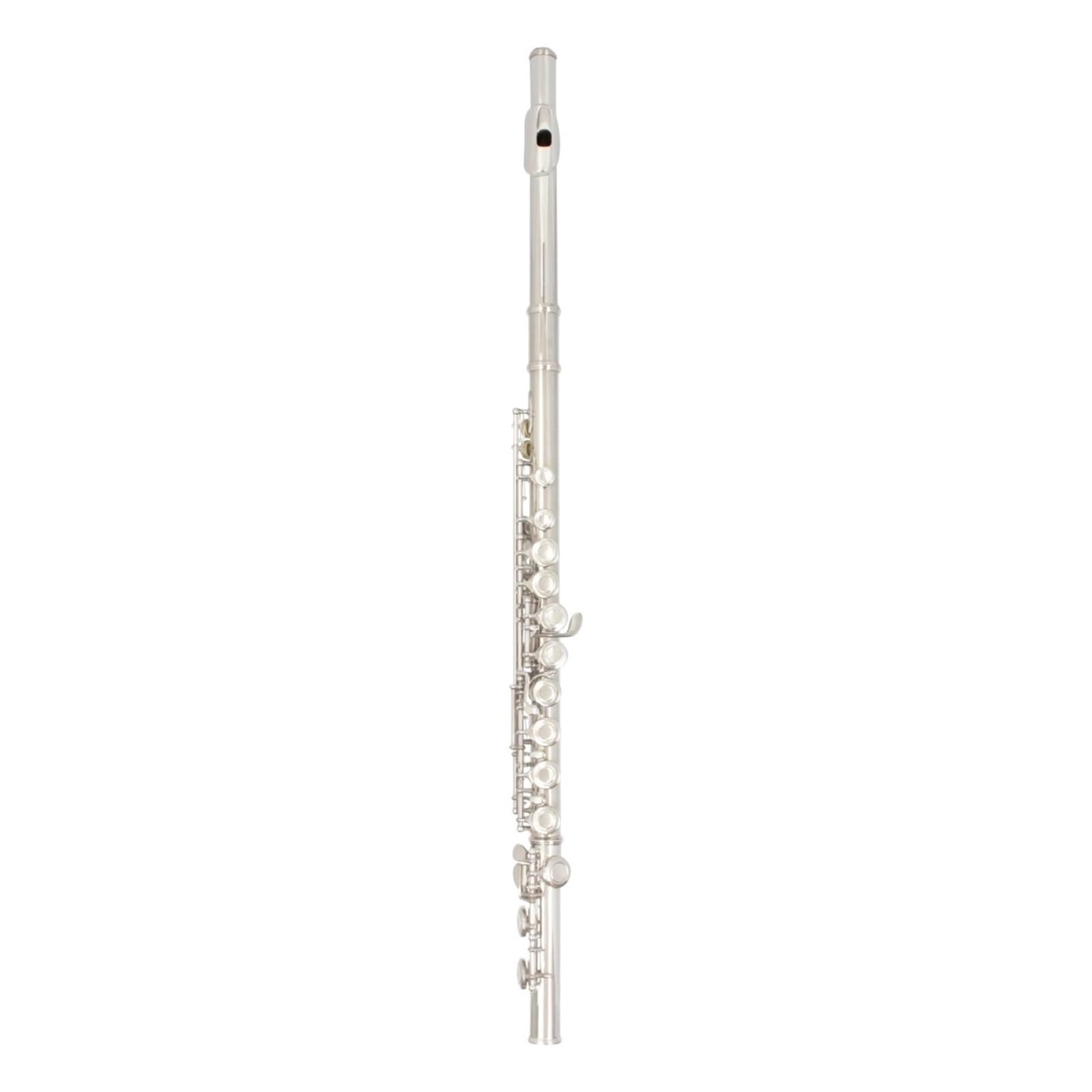 Flûte Flûte À Ton C À 16 Trous Avec Clé E Instrument Professionnel À Vent En Bois Clé Fermée Flûte À Tube En Cupronickel Avec Kit Pour Débutant(Silver)