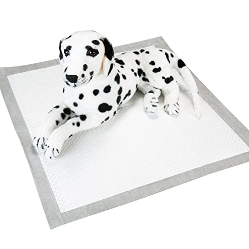 Pounce + Fetch Pacote com 50 almofadas de treinamento para cães, cinza