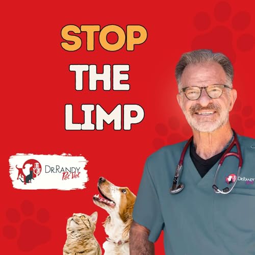 4 Ways to Help Your Senior Dog Walk Better (Pain Relief)