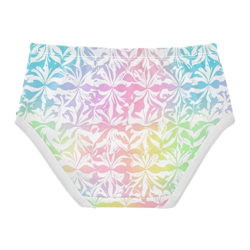 ZZKKO Ombre Colorful Floral Girls Underwear Toddler Panties for Girls Comfort Brief Size 2-8T2