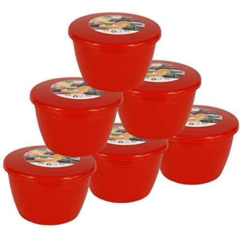 Just Pudding Basins Red 0.5 Pint, 280ml Steaming Basin Food Safe BPA Free Plastic 6 Pack of Red Steam Pudding Bowls and Lids (1/2 Pint)