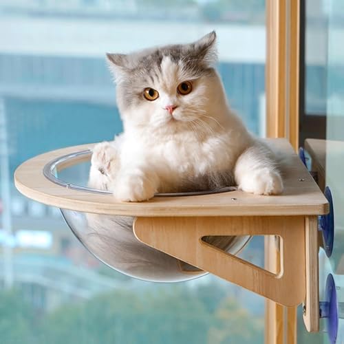 Katzen- Fensterstange, Acryl- Katzen- Hängematte mit Saugnäpfen, belastbar bis zu 30 kg, sonniger Sitz für Indoor- Katzen-2