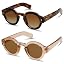 2 Pack C2 Tortoise/C3 Transparent Brown