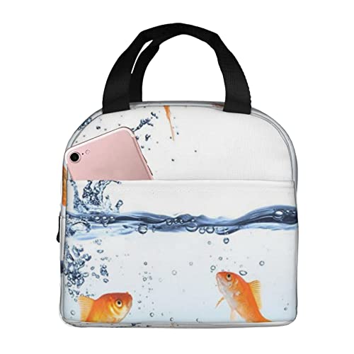 Comida Peces Agua Caliente Sera Marca NUYFVG