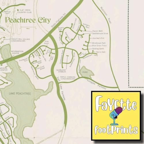 Creating a city; the planning and development of Peachtree City