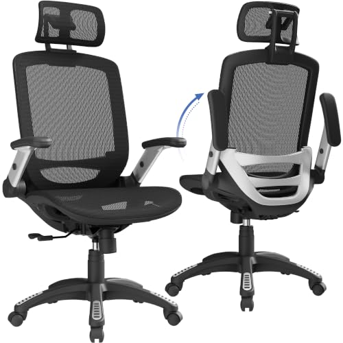 GABRYLLY Ergonomic Office Chair, High Back...