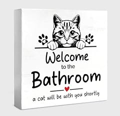 Cat Bathroom7