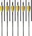 Trophy Ridge Wrath 340 Spine Fletched Carbon Arrows Black 6 pack