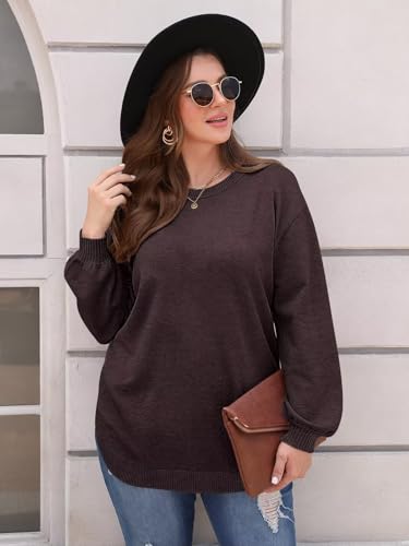 Image of BELAROI Plus Size Sweaters for Women Long Sleeve Shirts Loose Casual Oversized Tunic Sweater Fall Outfits Curved Hem M-5X