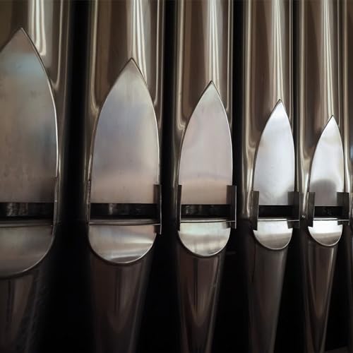 image for Gisafai 5 Pcs 304 Stainless Steel Sheets Stainless Steel Plates Mirror