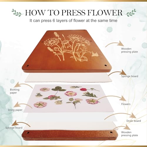 Aboofx F-038P 15.7 Inch X 11.8 Inch Extra Large Flower Press Kit thumb #3