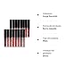 Richoose 16 Colores Set Líquido Maquillaje Líquido Maquillaje Lápiz Mate Lápiz labial...