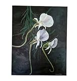 📦 Expédié dans un emballage en carton réutilisé, sans plastique, dans une démarche écoresponsable.