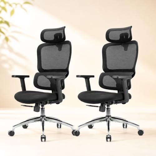 Image of SIHOO M56C Ergonomic Office Chair, Desk Chair with Armrests, Computer Chair with Dual Back Design and Adaptive Dynamic Lumbar Support, 2 Packs, Dark Black