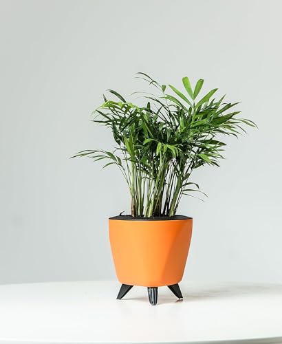 Image of Garden Art (Pack of 5 Indoor Outdoor Self Watering Planter Home Living Room Office Tabletop Decorative Plastic Flower Pot 5.1 Inch (Orange, 5) PPLAO