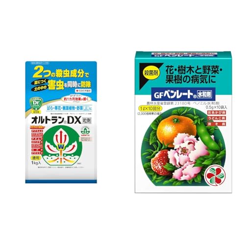 yZbgzZFw| E IgDX 1kg Zڍs AuV RKlVc + Eۍ GFx[ga 0.5g×10 | A aC 