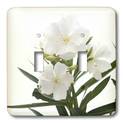 Double interrupteur à bascule fleurs de laurier rose pour salon lumineux